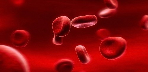 آزمایشات بخش هماتولوژی