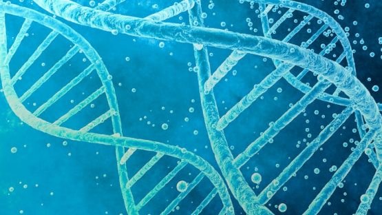 آزمایشگاه تحقیقات مولکولی PCR